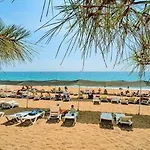Nex Royal