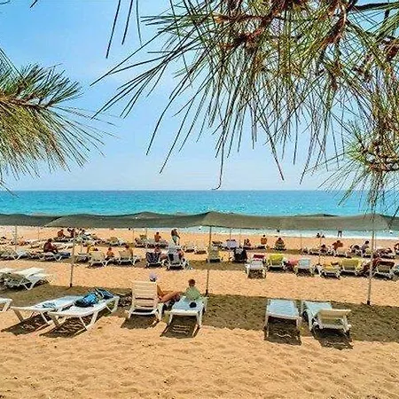 Nex Royal